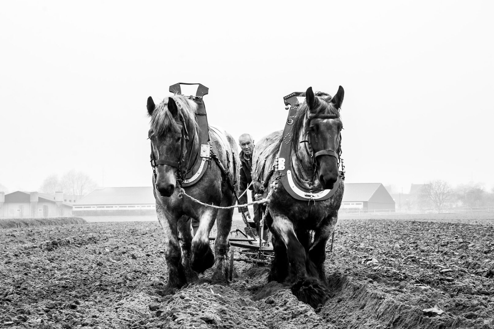 Kreatives - Boer - Korneel Cottyn - Grafisch design & Fotografie