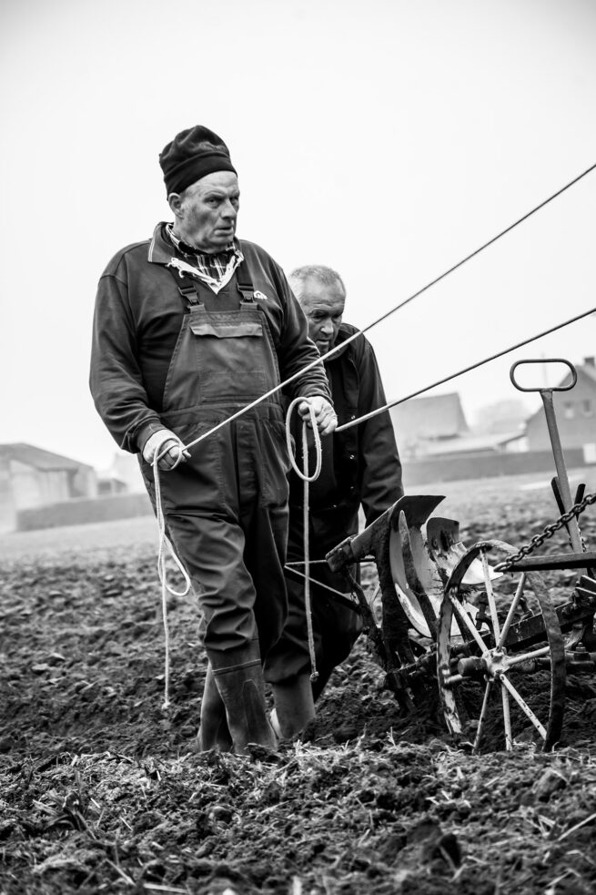 Kreatives - Boer - Korneel Cottyn - Grafisch design & Fotografie