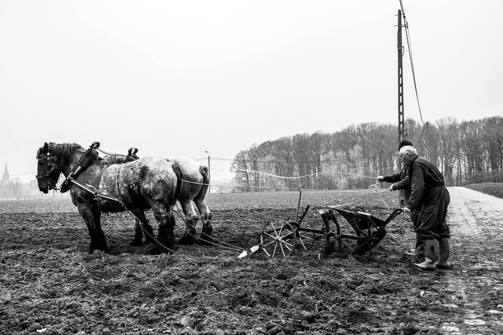 Kreatives - Boer - Korneel Cottyn - Grafisch design & Fotografie